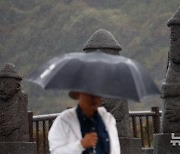 태풍 콩레이 간접영향, 비 내리는 제주