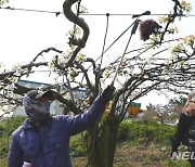 "외국인 계절근로자 안정 고용" 나주시, 농가에 지원 교육