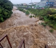 호우특보, 급류 흐르는 제주 한천