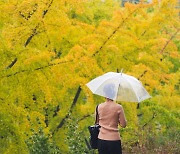 부산·울산 흐리고 많은 비...내일까지 예상강수량 20~60mm