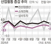 생산·소비 동반 ‘감소’… 환율·가계부채 탓에 경기 부양도 어려워