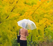 [오늘의 날씨] 전국 흐리고 일부 비 소식···낮 최고 20도