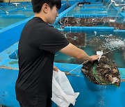 인천시, 꽃게 등 수산물 안전성조사 결과 모두 ‘적합’