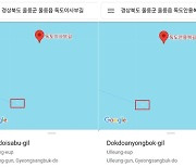 구글 지도가 또?···"'독도 주소' 검색했는데 여기가 왜 나와?"