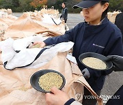 공공비축미곡 품질검사