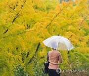 [날씨] 요란한 가을비…흐리고 남부 비바람·제주 돌풍 폭우