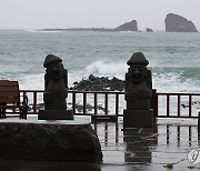 제주 '기록적 11월 폭우'…산지 최대 250㎜ 더 내린다(종합2보)