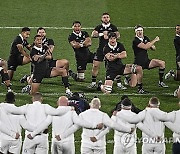 England-New Zealand Preview Rugby