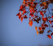 전국 흐리고 남부지역과 제주에 비…10도 이상 큰 일교차[오늘날씨]