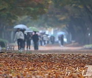 맑고 포근한 주말…'가을 나들이 최적'[내일날씨]