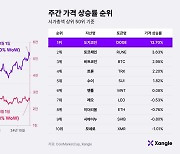 [주간코인시황] ‘트럼프 효과’ 비트코인, 대선 앞두고 급등락