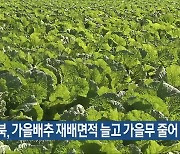 전북, 가을배추 재배면적 늘고 가을무 줄어