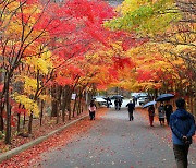 내일 전국 대체로 맑음…수도권 낮 최고 23도