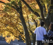 인천, 일교차 크고 바람 강해…낮 최고 22도 '포근'