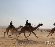 MIDEAST ISRAEL PHOTO SET CAMEL RACING