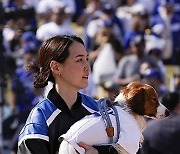 Dodgers Parade Baseball