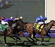 Breeders Cup Juvenile Turf Sprint Horse Racing