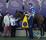 Breeders Cup Juvenile Turf Sprint Horse Racing