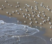 [내일날씨] 전국 대체로 맑음…낮 최고 19∼23도