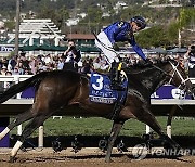 Breeders Cup Juvenile Fillies Horse Racing