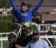 Breeders Cup Juvenile Fillies Horse Racing