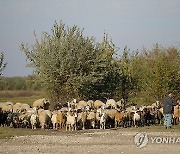 Moldova Election Daily Life