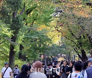 [포토]완연한 가을, '덕수궁 찾은 시민들'