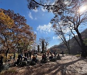 대전충남 가을 단풍·꽃 축제 만끽…야외명소 나들이객 '북적'