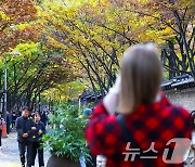 울긋불긋 단풍옷 입은 덕수궁 돌담길