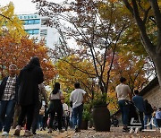 가을을 만끽하러 덕수궁 돌담길 왔어요!