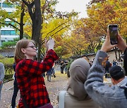 가을을 담는 외국인 관광객들