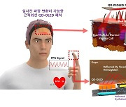 탈모 치료하는 QD-OLED 패치를 만들었다