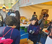 시배지 진영 단감 농가,폭염으로 상품성 하락해 ‘울상’