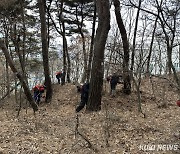 충남도, 소나무재선충병 청정지역 회복 ‘총력’