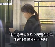 강혜경 "김영선 주장, 대응 가치 없는 임기응변식 거짓말"