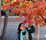 가을색 입은 경복궁, 산책하는 관광객들