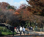 가을 찾아온 남산