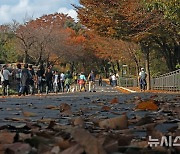 가을 찾아온 남산