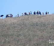 '제주 오름에서 가을 감상'