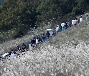 제주 새별오름 관광객 북적북적