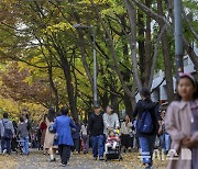 가을날, 덕수궁 돌담길