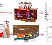 붙이기만 하면 모발 성장 세포 23% 증식…'탈모 OLED 패치'세계 첫 개발