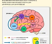 "스마트폰 열면 '쇼츠'만 찾는 당신"…혹시 도파민 중독?