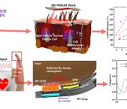 탈모 피부에 붙이면 23%까지 증식···양자점-OLED 패치 세계최초 개발 [사이언스포커스]