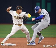 김하성, 샌디에이고와 1년 연장 옵션 '거부'…MLB FA 시장 나온다