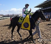 Breeders Cup Turf Sprint Horse Racing