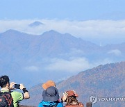 단풍과 운해