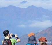 단풍과 운해