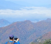 단풍과 운해