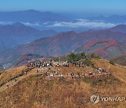 만추 절정…민둥산 억새 물결